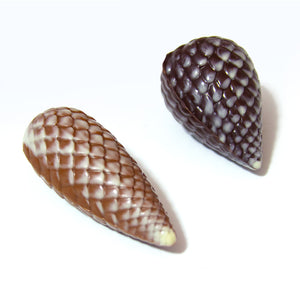 
                  
                    Load image into Gallery viewer, Pine Cone - Milk
                  
                